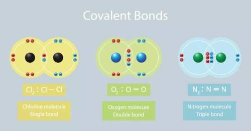 What does a covalently bonded molecule look like