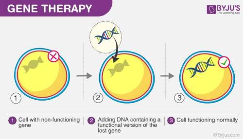 Why are polygenic diseases less suited to gene therapy?