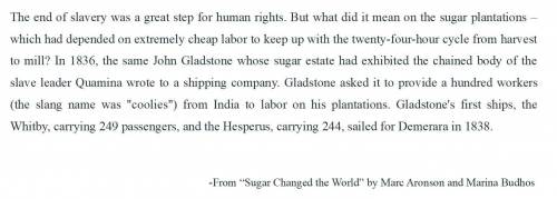 What evidence do the authors include to support the central idea that the sugar plantations' cheap l