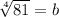 \sqrt[4]{81} =b
