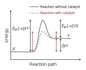 Draw an energy diagram for an endothermic reaction without a catalyst (use a solid line) and with a 