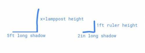 Thomas decides to use the method of proportions and similar

triangles to find the height of a lampp