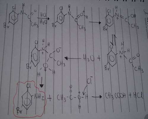 What is the mechanism for 4-bromo-2-chloroaniline from 4-bromo-2-chloroacetanilide?