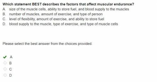 Which statement BEST describes the factors that affect muscular endurance? A. size of the muscle cel