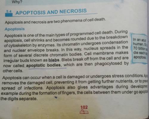 Cells that are infected, damaged, or have reached the end of their functional life span often underg