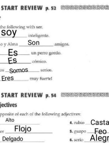 I need answers for my Spanish assignment. please helppp