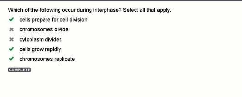 Which of the following occur during interphase? Select all that apply.

cells prepare for cell divis