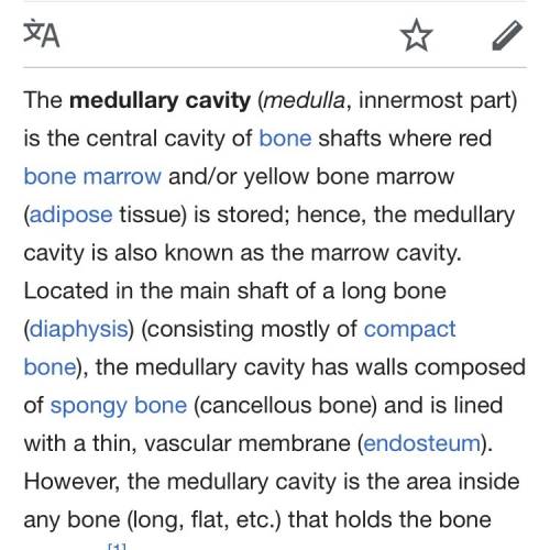 Which of the following is found in the cavities of bone?