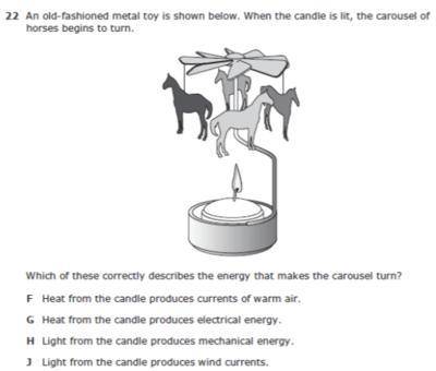 Which of these correctly describes the energy that makes the carousel turn