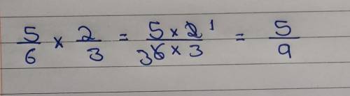 5/6 x 2/3 Please help me with this