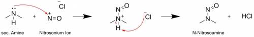 Secondary amines react with the nitrosonium ion to generate  n-nitrosoamines diazonium salts aniline
