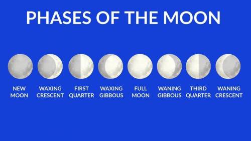 In which phase is the moon when in the position shown in the diagram?

A) First-Quarter Moon
B) Full