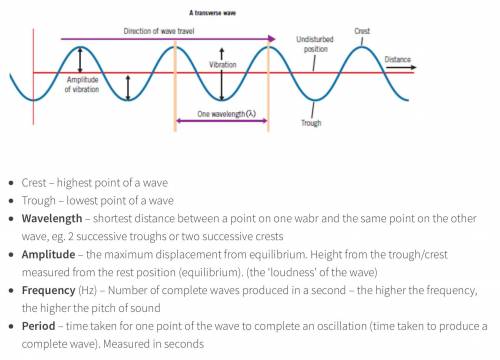For a transverse wave, the  depends on the distance from the rest position to a crest or trough. *