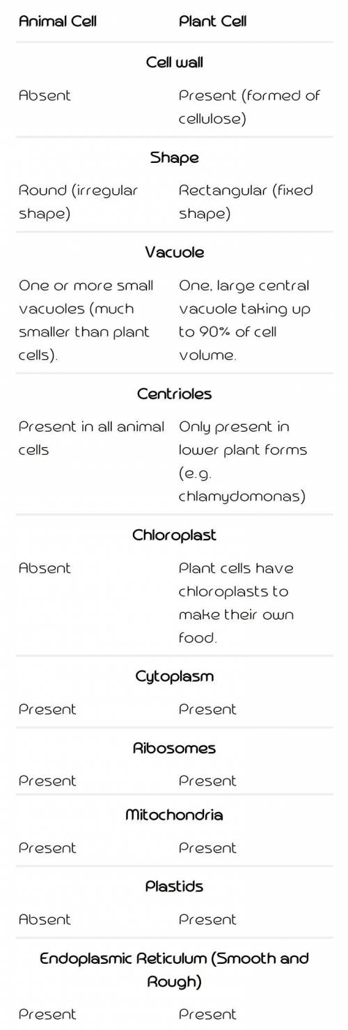Is there a difference between plant &  animal cells?