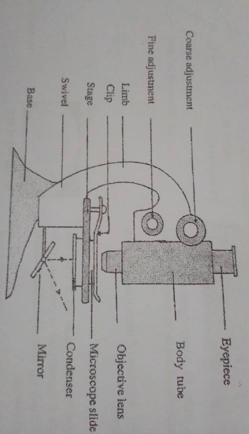 What are the parts of a microscope show picture