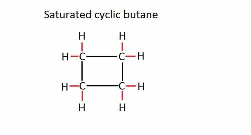 What is the ratio of carbon atoms to hydrogen atoms in a saturated cyclic hydrocarbon?