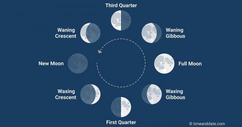 First answer gets
What are two phases of a waxing moon, and how do they appear?
