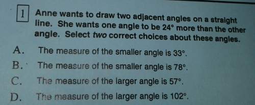 Anne wants to draw two adjacent angles on a straight line. she wants one angle to be 24° more than t