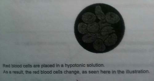 Answer quickly! answer any of them you know 1. describe the movement of water across the cell