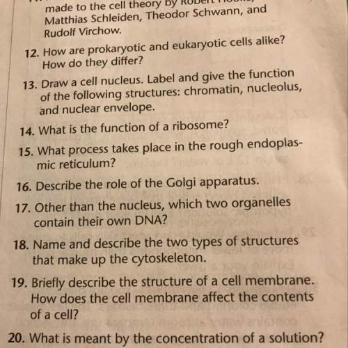 What’s the answer to questions 17 and 19. pls me.