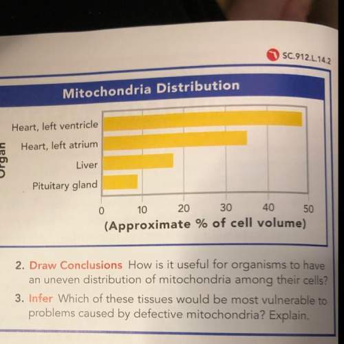 2. draw conclusions  how is it useful for organisms to have an uneven distribution of mitochon
