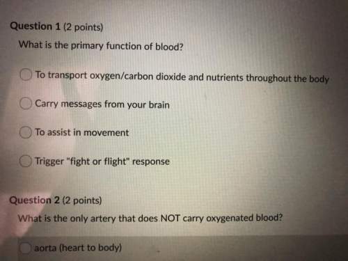 What is the primary function of blood?