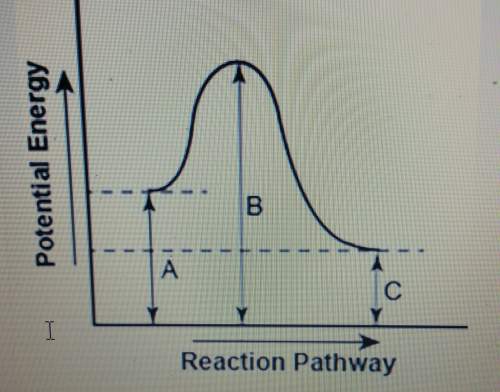 The diagram shows the potential energy changes for a reaction pathway.  1. does the diag