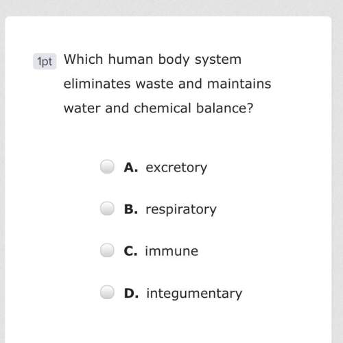 Which human body system eliminates waste and maintains water and chemical balance? ^^^