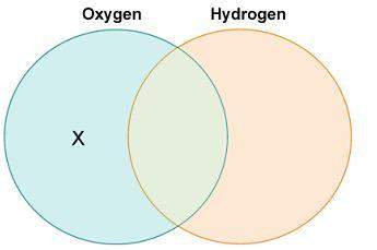 xavier drew a diagram to compare the roles of oxygen and hydrogen in photosynthesis.