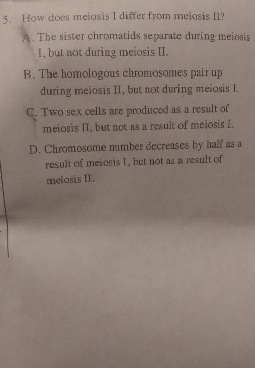 How does meiosis 1 differ from meiosis 2?