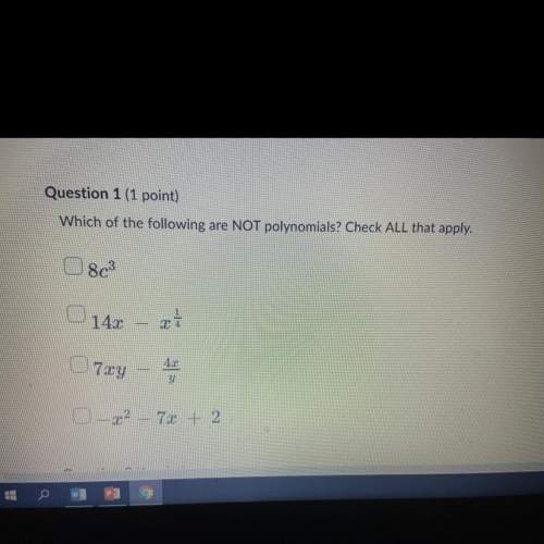 Question 1 options somebody me i need this math grade