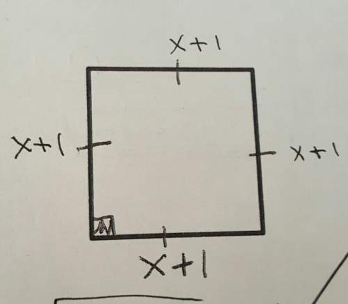 What is the area of a square with sides of x+1