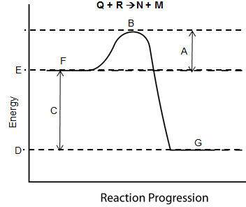 Consider the reaction pathway graph below. which method would provide evidence to support the infere