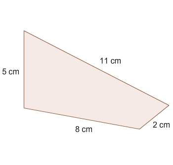 What is the perimeter of this shape? a. 26 cm b. 24 cm c. 22 cm d. 18 cm