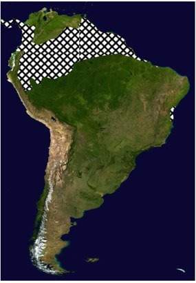 In what way would the climate in the shaded area impact that region of south america?  a) it c