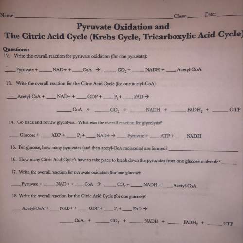 Pyruvate oxidation and the citric acid cycle (krebs cycle, tricarboxylic acid cycle) que