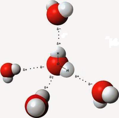 Can someone me (:  q1. (1 pt) what part of the image represents intramolecular forces? be s