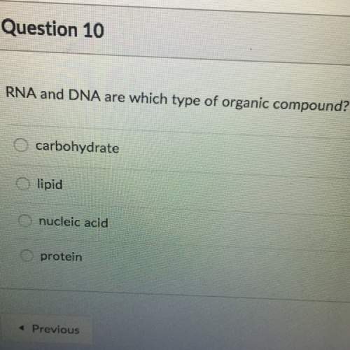 Rna and dna are which type of organic compound?