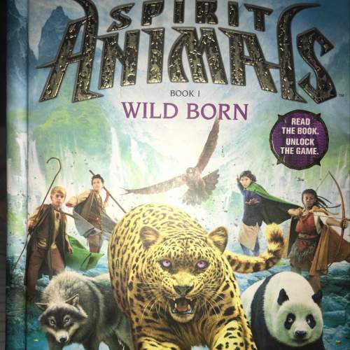 What is the lesson in spirit animals wild born?