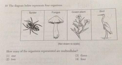 The diagram below represents four organisms green plant fungus spider (not drawn to scale) how many