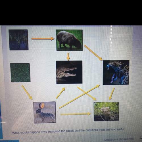 What would happen if we removed the crocodile from this food web