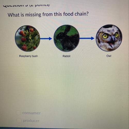What is missing from this food chain