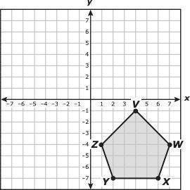 Pentagon vwxyz is shown on the coordinate grid. a student reflected pentagon vwxyz across the x-axis