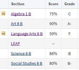 If i have these grades will i still move onto the next year