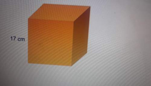 What is the surface area of the cube