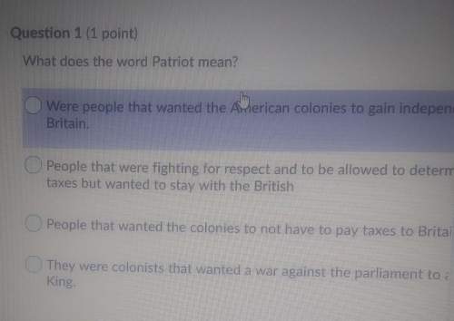 What does the word patriot mean? !