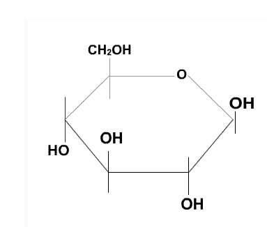 What type of molecule is the compound shown in the diagram?  monosaccharide  disa