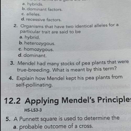 Mendel had many stocks of pea plants that were true breeding . what is meant by this term