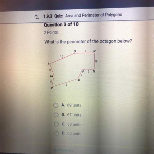 What is the perimeter of the octagon shown in the picture?