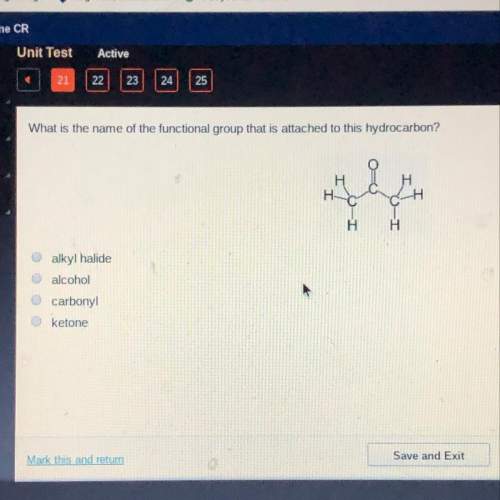 What is the name of the functional group that is attached to this hydrocarbon?